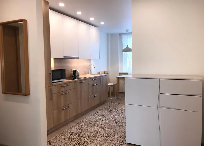 Crystal Grey Apartament Druskieniki