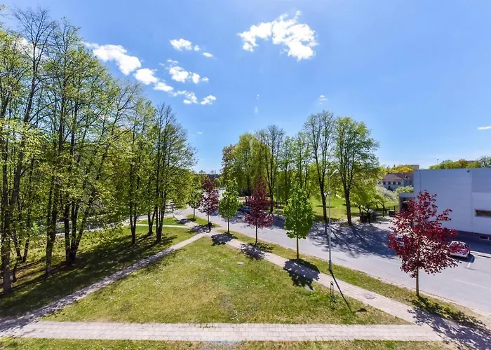 Crystal Grey Apartament Druskieniki